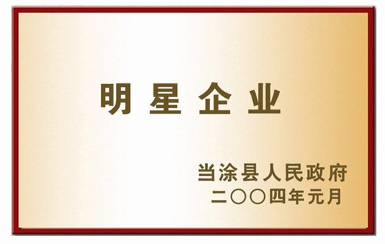 明星企业
